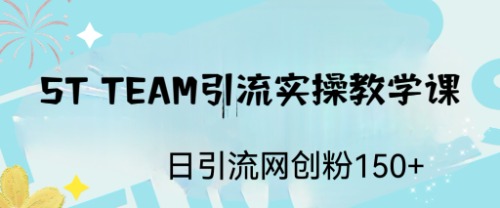 ST TEAM引流实操课，日引流网创粉100+-网创资源库