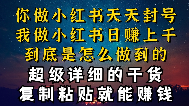 都知道小红书能引流私域变现，可为什么我能一天引流几十人变现上千，但你却频频封号违规被限流-网创资源库