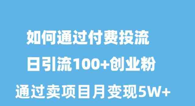 （10189期）如何通过付费投流日引流100+创业粉月变现5W+-网创资源库