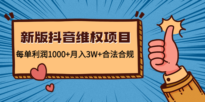 新版抖音维全项目：每单利润1000+月入3W+合法合规！-网创资源库