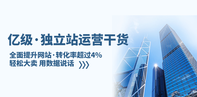 亿级·独立站运营干货：全面提升网站·转化率超过4%，轻松大卖 用数据说话-网创资源库