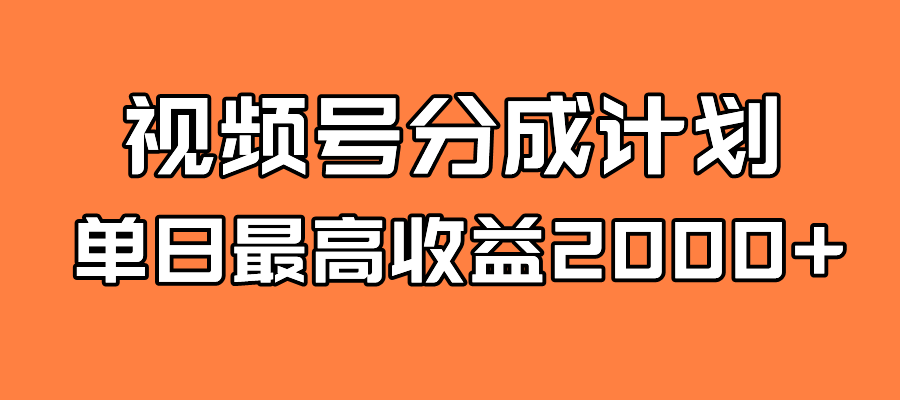 全新蓝海 视频号掘金计划 日入2000+-网创资源库