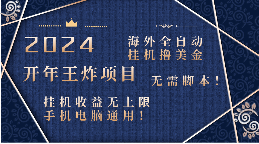 2024海外全自动挂机撸美金项目！手机电脑均可，无需脚本，收益无上限！-网创资源库