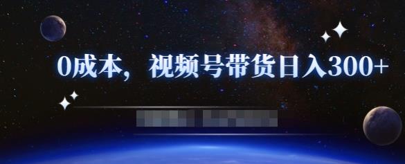 零基础视频号带货赚钱项目，0成本0门槛轻松日入300+【视频教程】￼-网创资源库