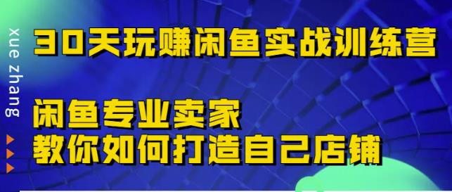 30天玩赚闲鱼实战训练营，闲鱼专业卖家教你如何打造自己店铺￼-网创资源库