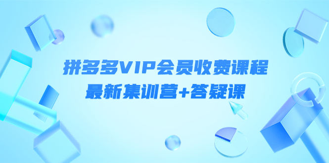 某社群·拼多多VIP会员收费课程，最新集训营+答疑课-价值3299元￼-网创资源库