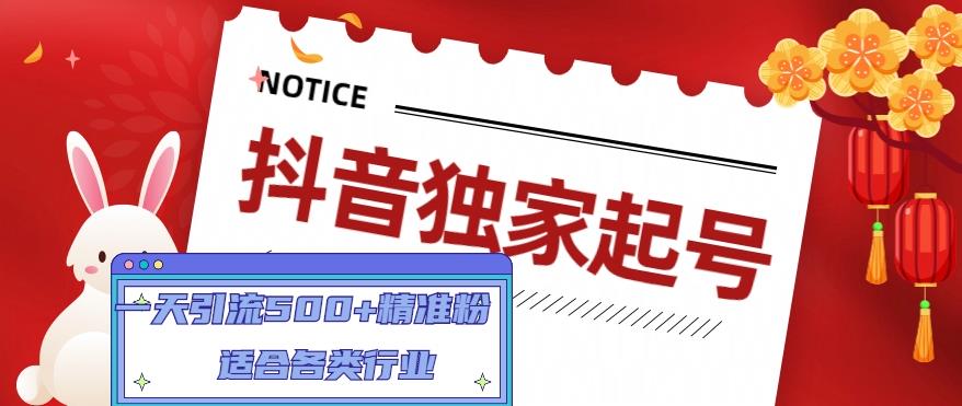 抖音独家起号，一天引流500+精准粉，适合各类行业（9节视频课）-网创资源库