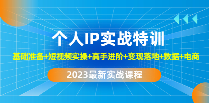 2023个人IP实战特训：基础准备+短视频实操+高手进阶+变现落地+数据+电商-网创资源库