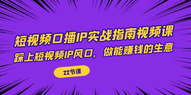 短视频口播IP实战指南视频课，踩上短视频IP风口，做能赚钱的生意（22节课）-网创资源库