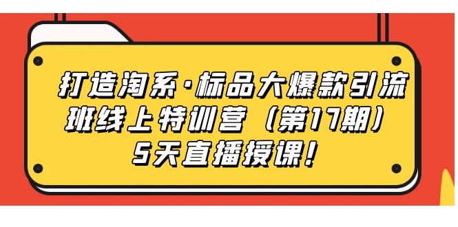 打造淘系·标品大爆款引流班线上特训营（第17期）5天直播授课！-网创资源库