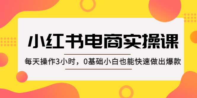 小红书·电商实操课：每天操作3小时，0基础小白也能快速做出爆款！-网创资源库