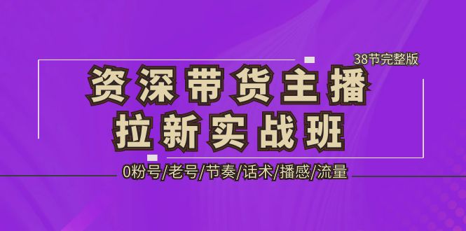 资深·带货主播拉新实战班，0粉号/老号/节奏/话术/播感/流量-38节完整版-网创资源库