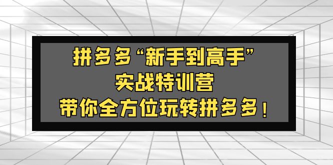 拼多多“新手到高手”实战特训营：带你全方位玩转拼多多！-网创资源库