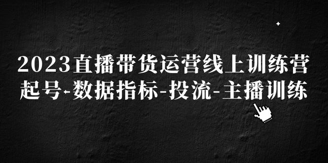 2023直播带货运营线上训练营，起号-数据指标-投流-主播训练-网创资源库