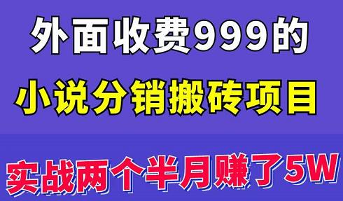 外面收费999的小说分销搬砖项目：实战两个半月赚了5W块，操作简单！￼-网创资源库