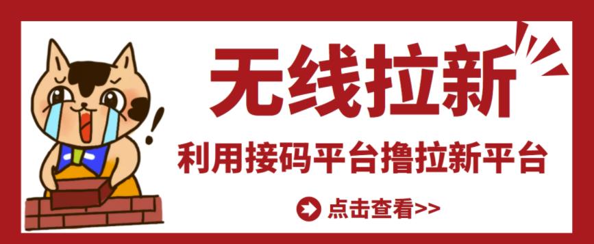 最新接码无限拉新项目，利用接码平台赚拉新平台差价，轻松日赚500+￼-网创资源库