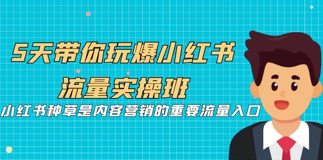 5天带你玩爆小红书流量实操班，小红书种草是内容营销的重要流量入口-网创资源库