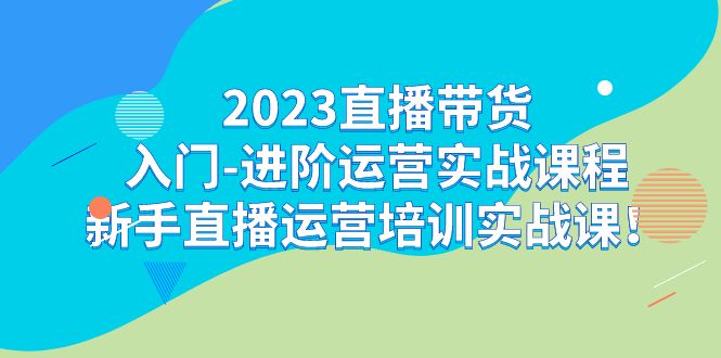 2023直播带货入门-进阶运营实战课程：新手直播运营培训实战课！-网创资源库