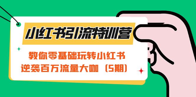 小红书引流特训营-第5期：教你零基础玩转小红书，逆袭百万流量大咖-网创资源库