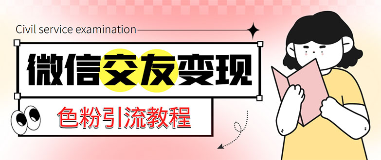 微信交友变现项目，吸引全网LSP男粉精准变现，小白也能轻松上手，日入500+-网创资源库