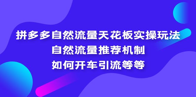 拼多多自然流量天花板实操玩法：自然流量推荐机制，如何开车引流等等-网创资源库