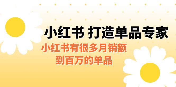 某公众号付费文章《小红书 打造单品专家》小红书有很多月销额到百万的单品-网创资源库