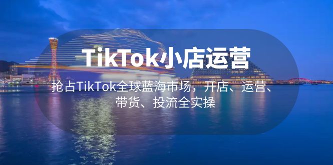 TikTok小店运营 抢占TikTok全球蓝海市场，开店、运营、带货、投流全实操-网创资源库