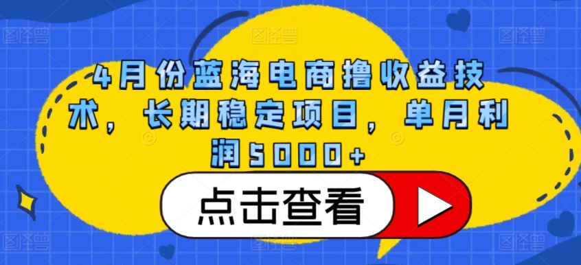 4月份蓝海电商撸收益技术，长期稳定项目，单月利润5000+-网创资源库