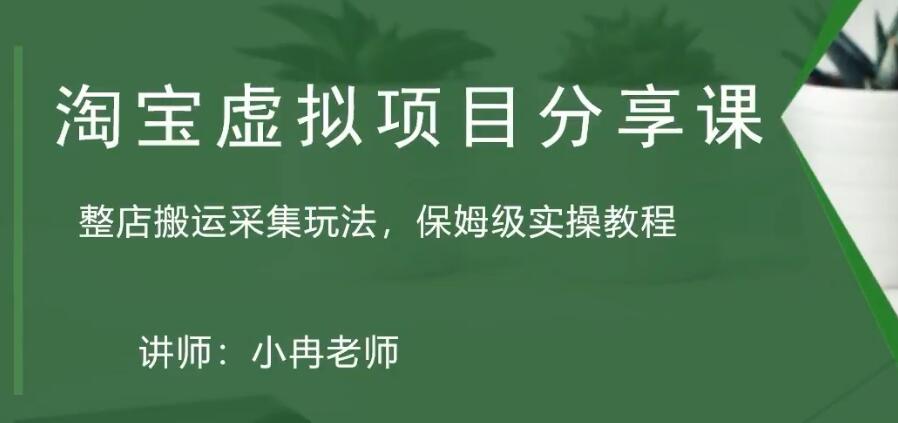 淘宝虚拟整店搬运采集玩法分享课：整店搬运采集玩法，保姆级实操教程-网创资源库