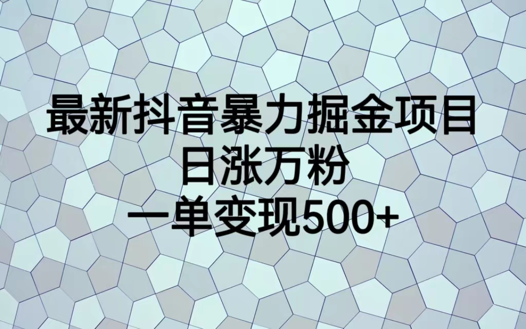 最火热的抖音暴力掘金项目，日涨万粉，多种变现方式，一单变现可达500+-网创资源库