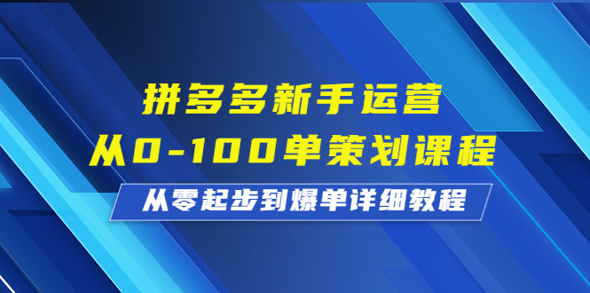 拼多多新手运营从0-100单策划课程，从零起步到爆单详细教程-网创资源库