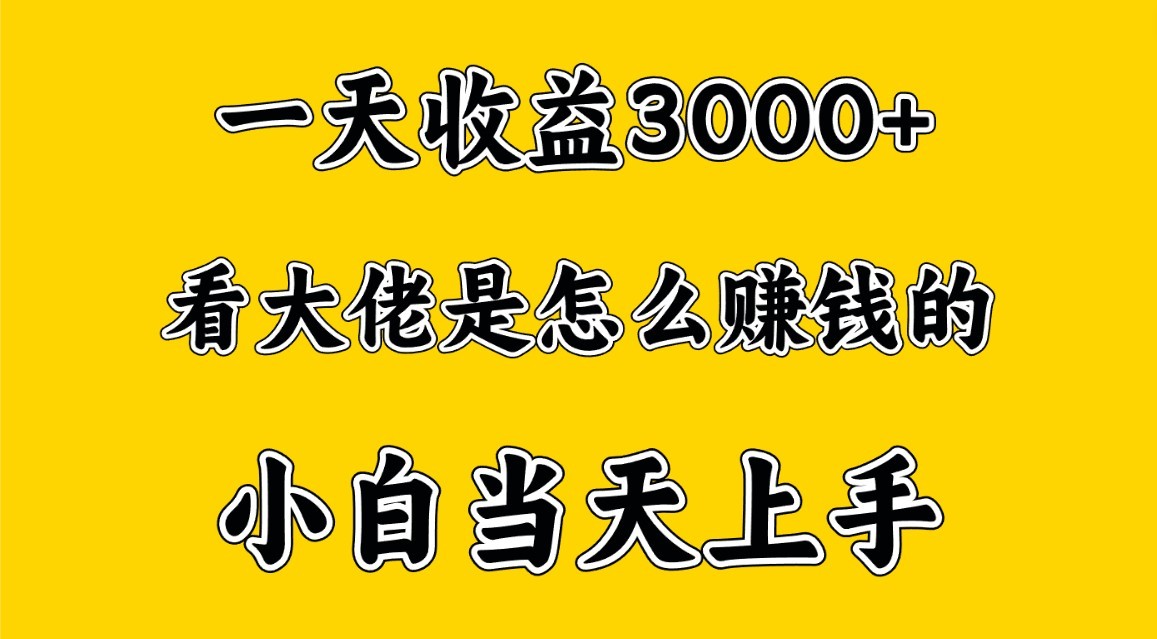 一天赚3000多，大佬是这样赚到钱的，小白当天上手，穷人翻身项目-网创资源库