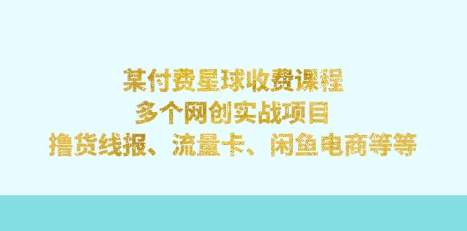 某付费星球课程：多个网创实战项目，撸货线报、流量卡、闲鱼电商等等-网创资源库