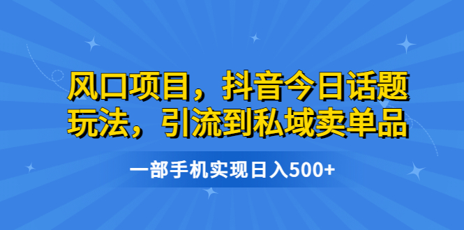 风口项目，抖音今日话题玩法，引流到私域卖单品，一部手机实现日入500+-网创资源库