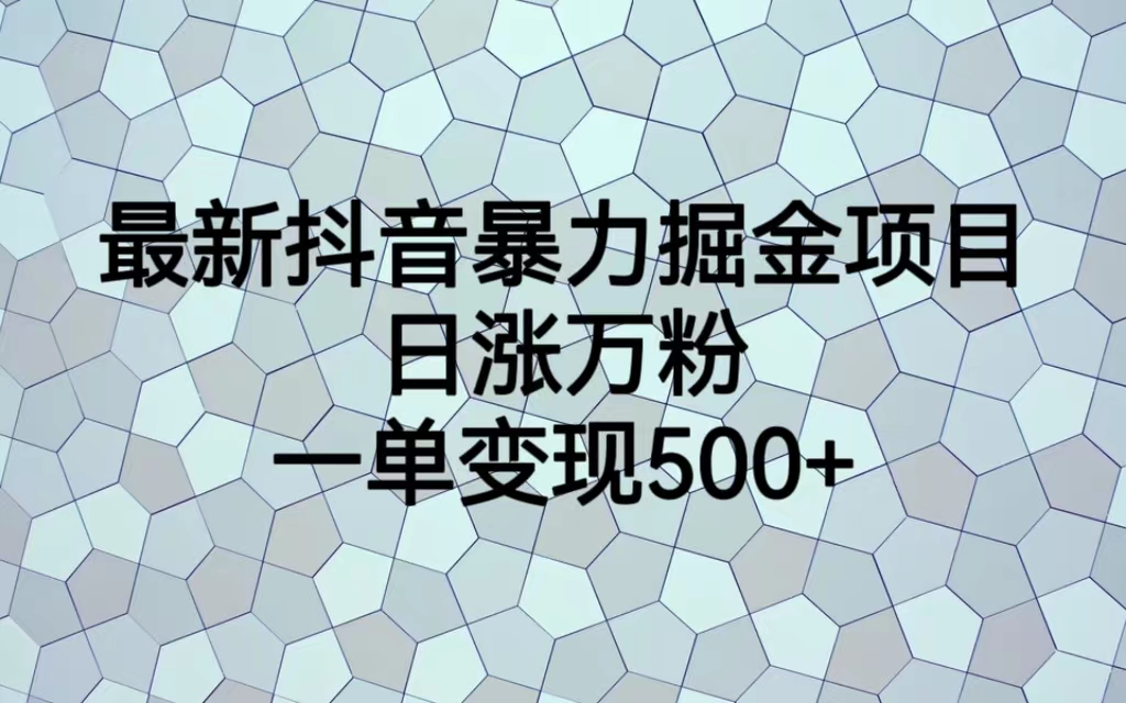 最新抖音暴力掘金项目，日涨万粉，一单变现500+-网创资源库