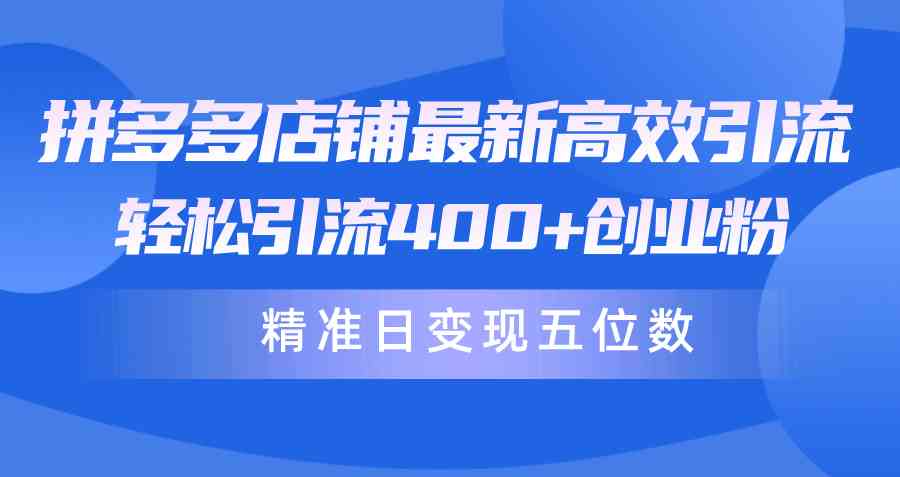 （10041期）拼多多店铺最新高效引流术，轻松引流400+创业粉，精准日变现五位数！-网创资源库