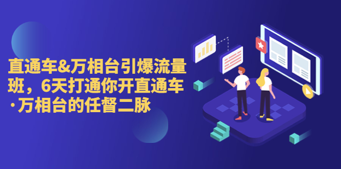 直通车+万相台引爆流量班，6天打通你开直通车·万相台的任督 二脉-网创资源库