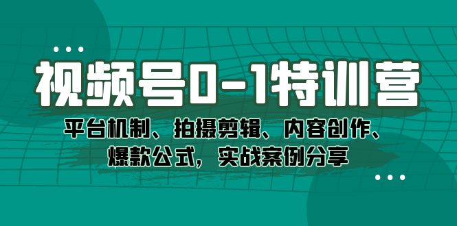 视频号0-1特训营：平台机制、拍摄剪辑、内容创作、爆款公式，实战案例分享-网创资源库