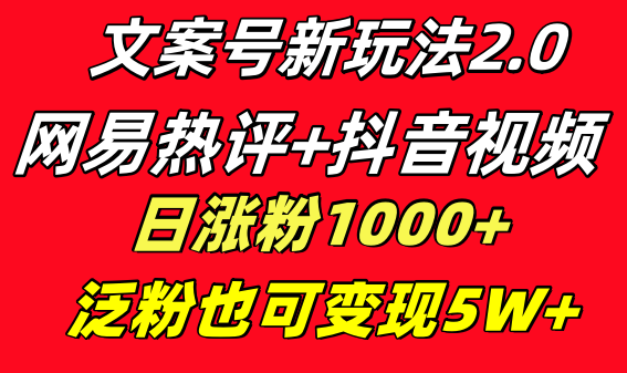 文案号新玩法 网易热评+抖音文案 一天涨粉1000+ 多种变现模式 泛粉也可变现-网创资源库