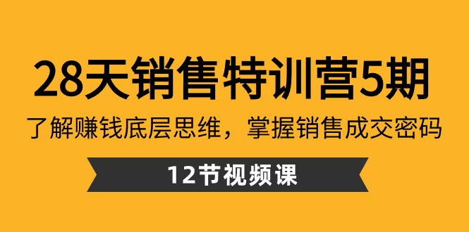 28天·销售特训营5期：了解赚钱底层思维，掌握销售成交密码（12节课）-网创资源库