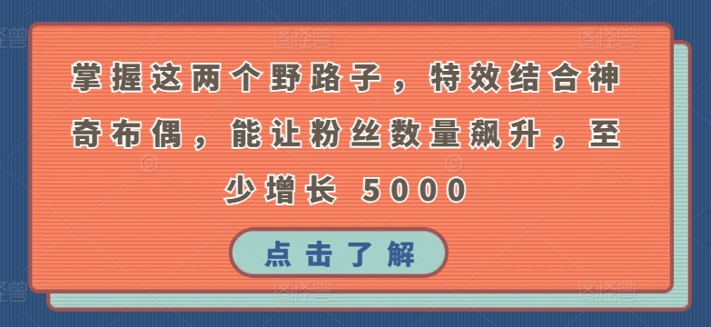 掌握这两个野路子，特效结合神奇布偶，能让粉丝数量飙升，至少增长 5000-网创资源库