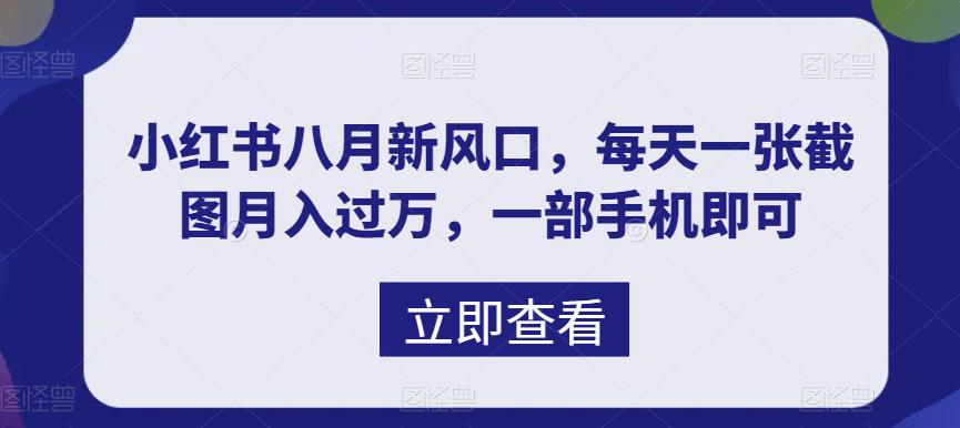 八月新风口，小红书虚拟项目一天收入1000+，实战揭秘-网创资源库