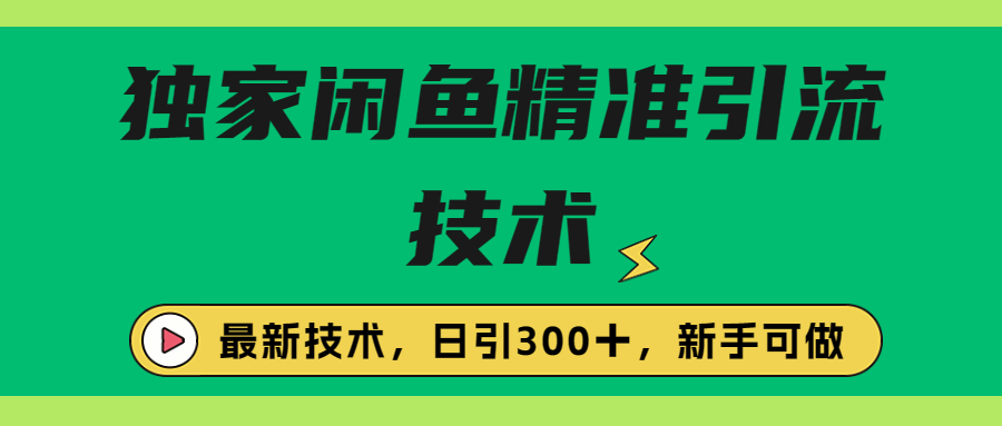 独家闲鱼引流技术，日引300＋实战玩法-网创资源库