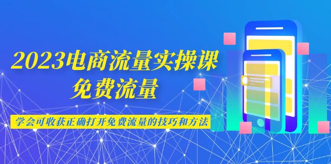 2023电商流量实操课-免费流量，学会可收获正确打开免费流量的技巧和方法-网创资源库