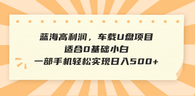 蓝海高利润，车载U盘项目，适合0基础小白，一部手机轻松实现日入500+-网创资源库