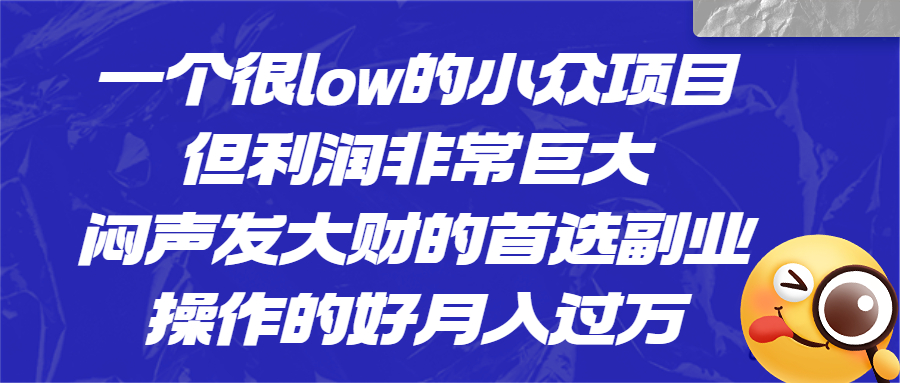 一个很low的小众项目，但利润非常巨大，闷声发大财的首选副业，月入过万-网创资源库