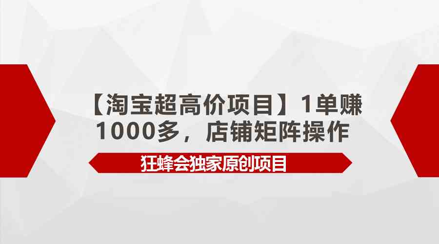 （9849期）【淘宝超高价项目】1单赚1000多，店铺矩阵操作-网创资源库