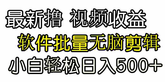 （9569期）发视频撸收益，软件无脑批量剪辑，第一天发第二天就有钱-网创资源库