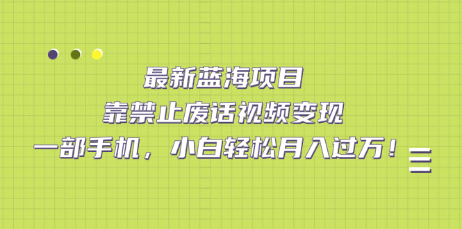 最新蓝海项目，靠禁止废话视频变现，一部手机，小白轻松月入过万！-网创资源库