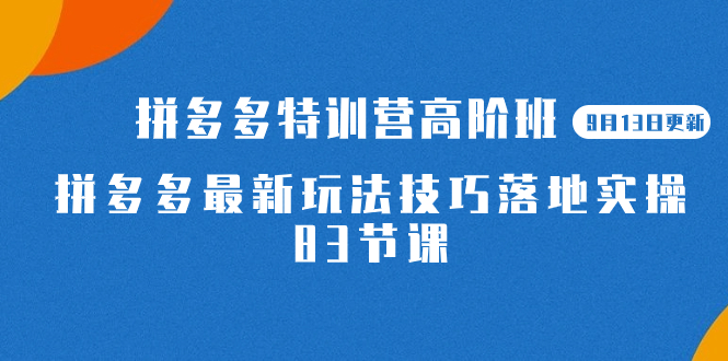 2023拼多多·特训营高阶班【9月19日更新】拼多多最新玩法技巧落地实操-83节-网创资源库